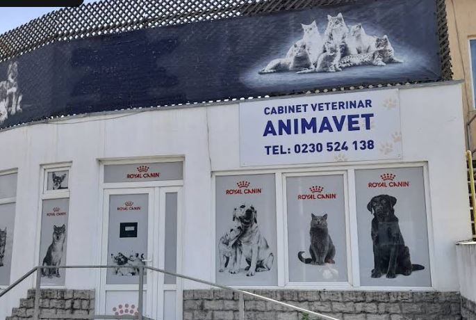 Animavet