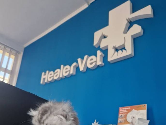 Healer Vet