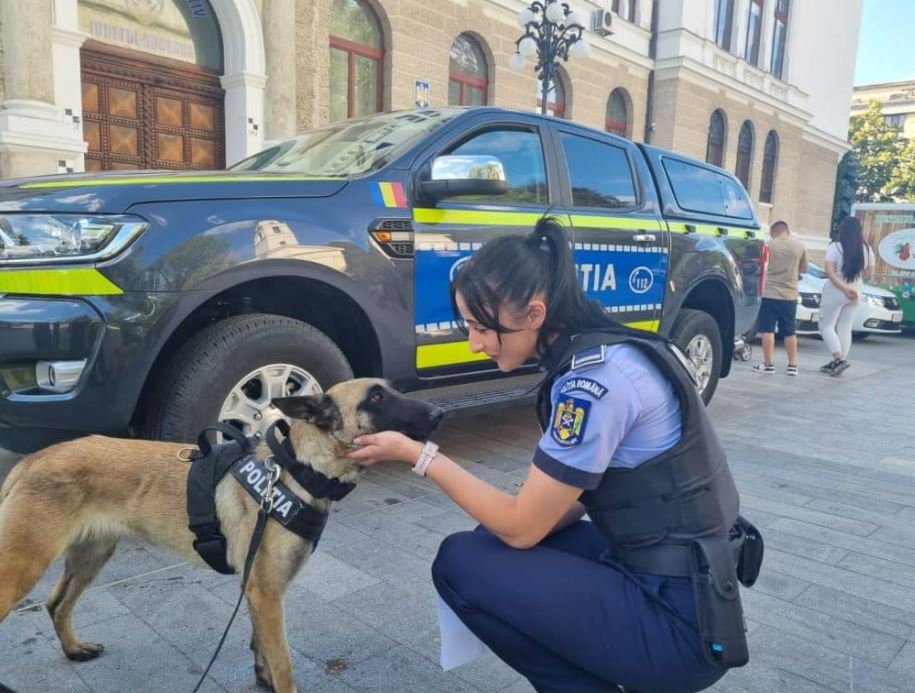 Intervenție Poliția Animalelor