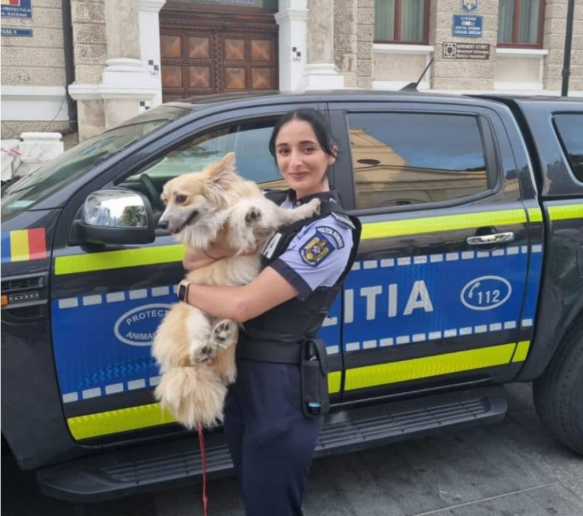 Poliția Animalelor Suceava