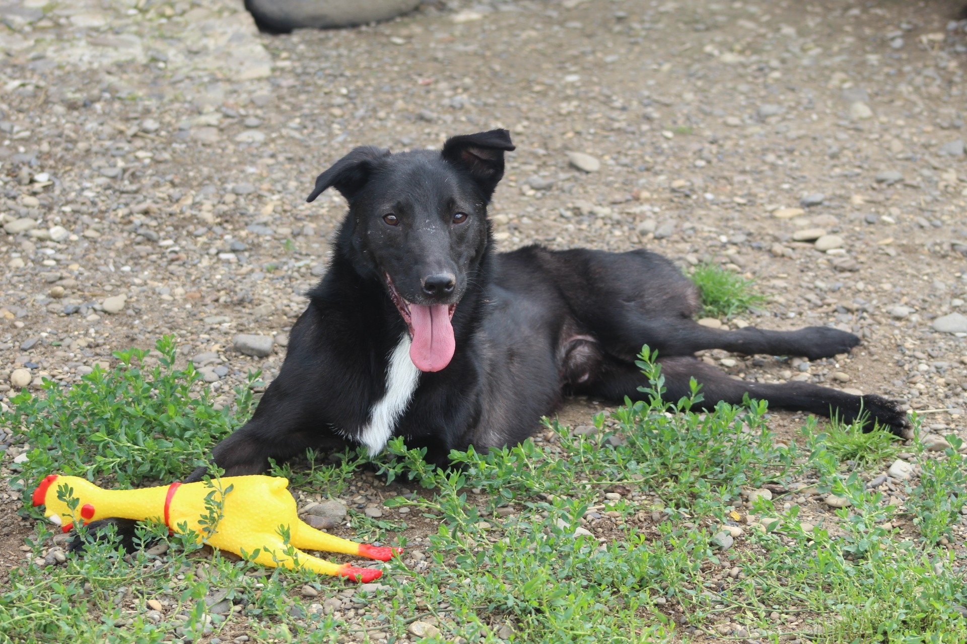 Alin Casa lui Patrocle 4