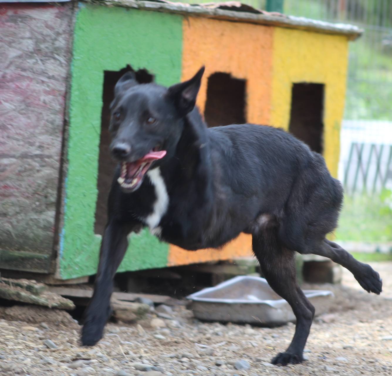 Alin Casa lui Patrocle 5