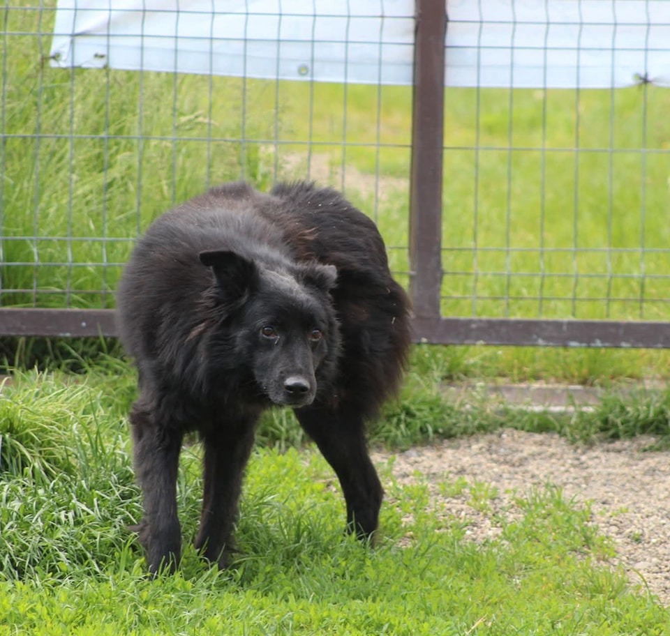 Andrei Casa lui Patrocle 3