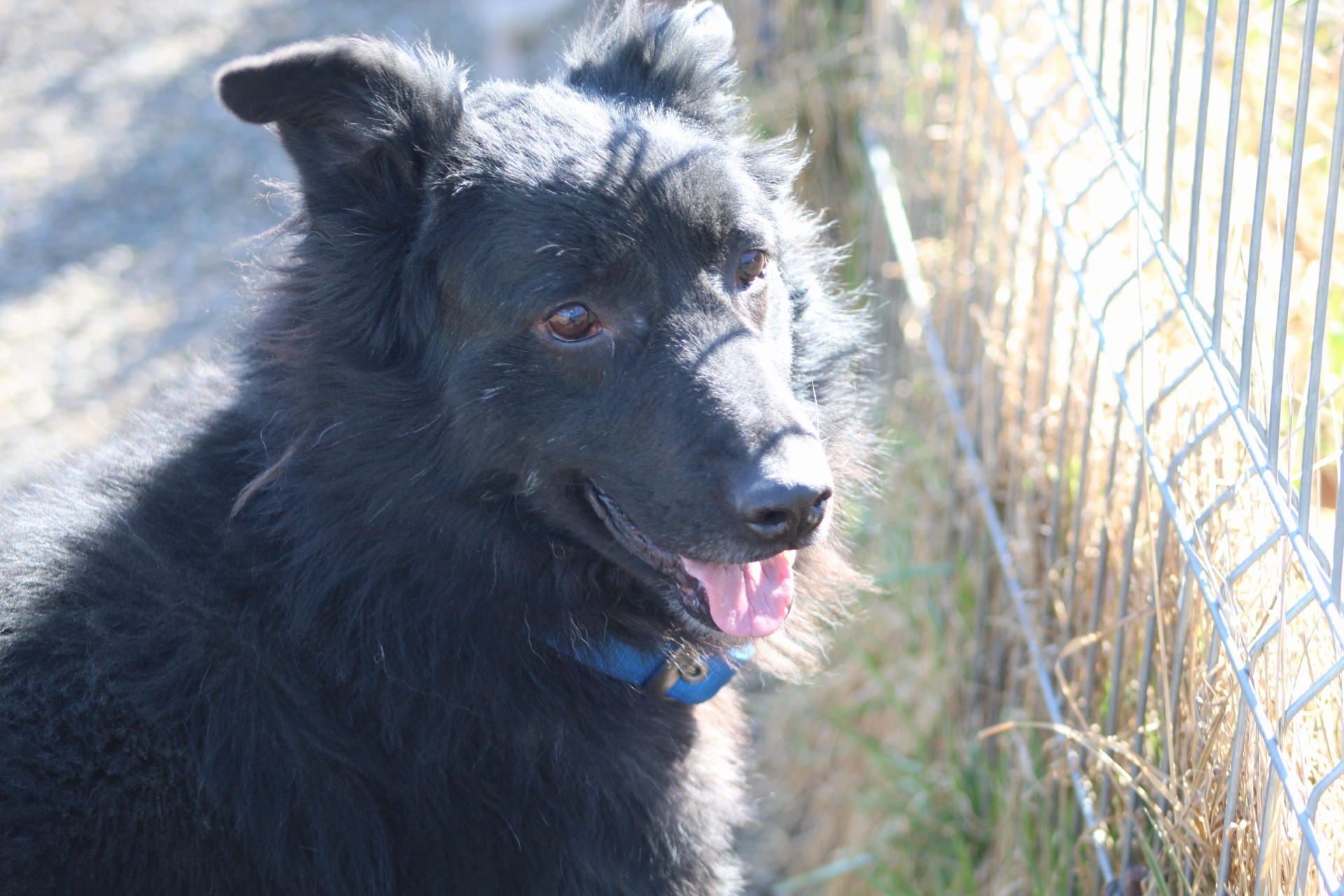 Andrei Casa lui Patrocle 4