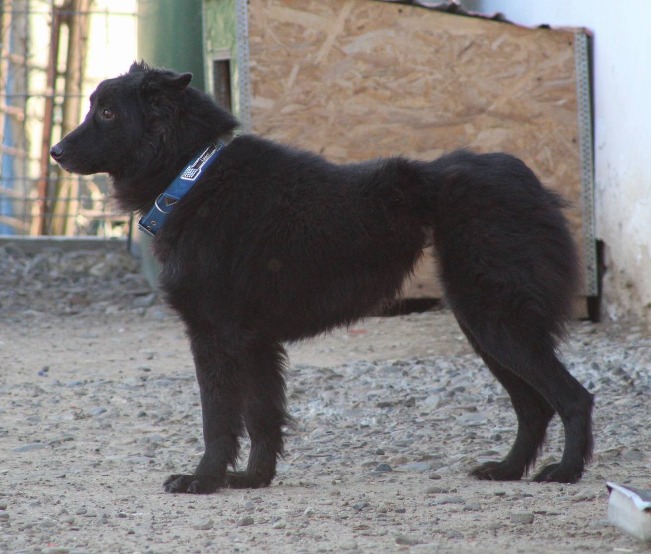 Andrei Casa lui Patrocle 5