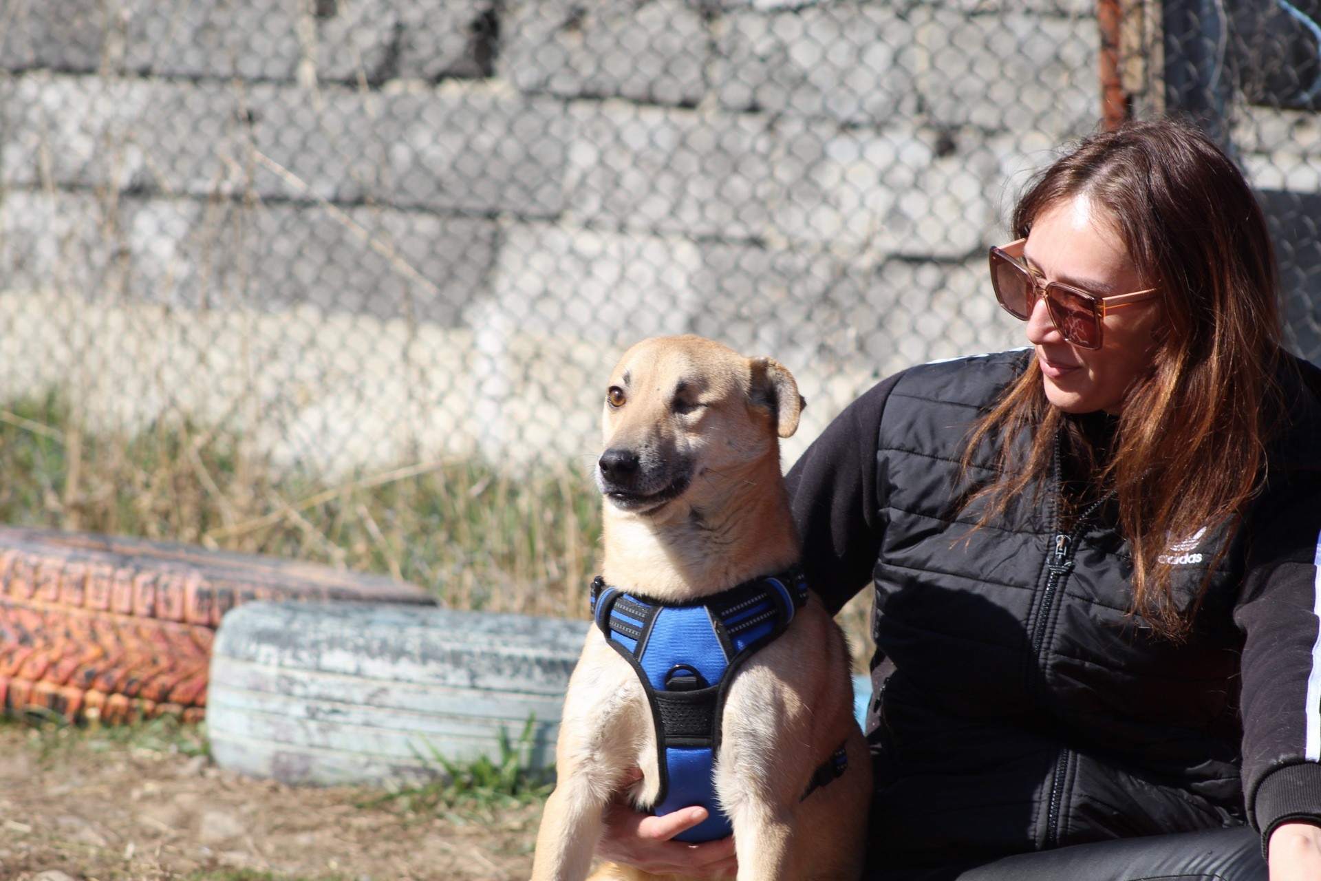 Aurel Casa lui Patrocle 6