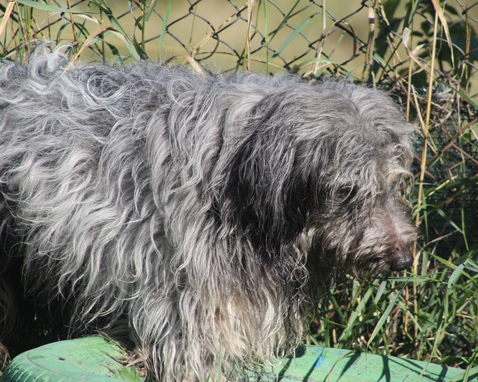 Azorel Casa lui Patrocle 2