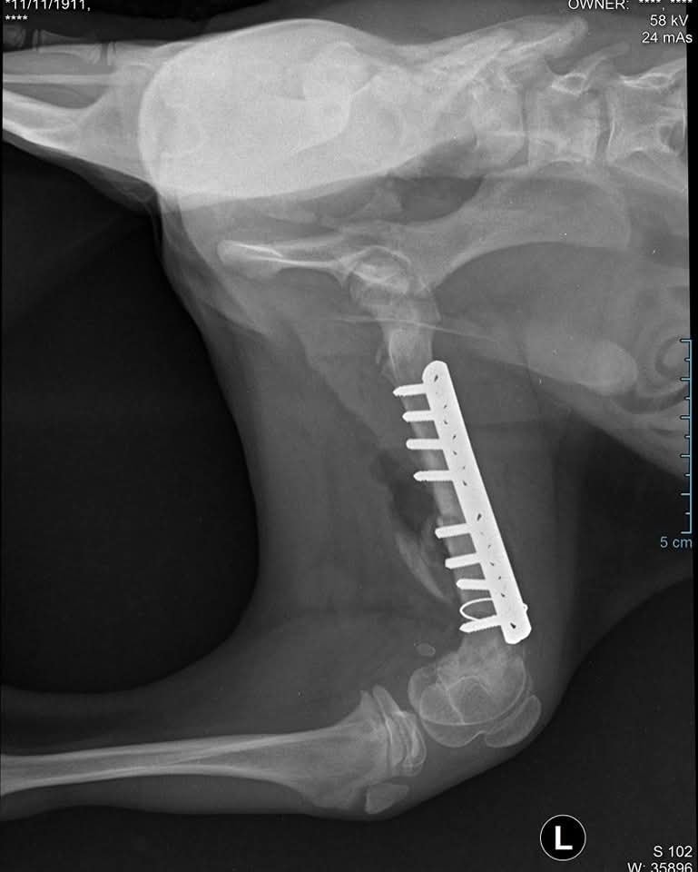 Azorel Casa lui Patrocle 4