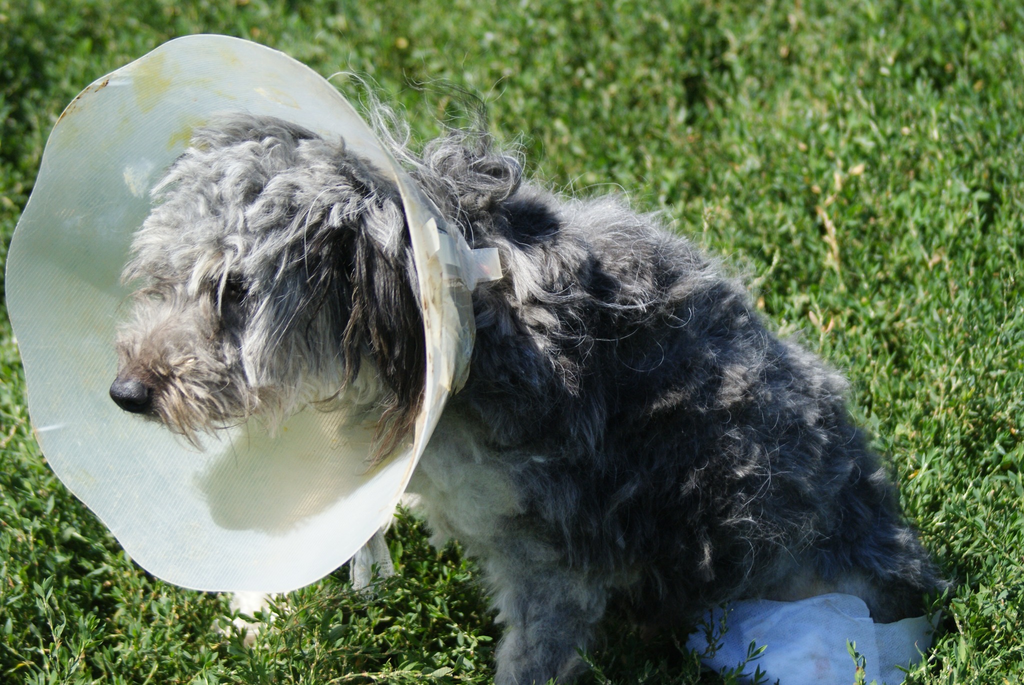 Azorel Casa lui Patrocle 7