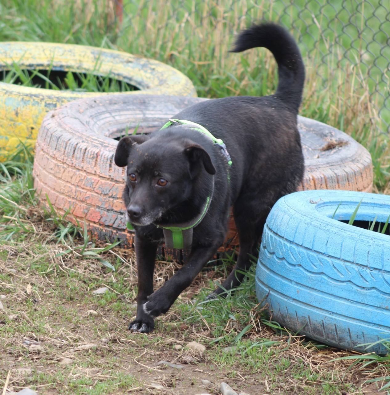 Beauty Casa lui Patrocle 2