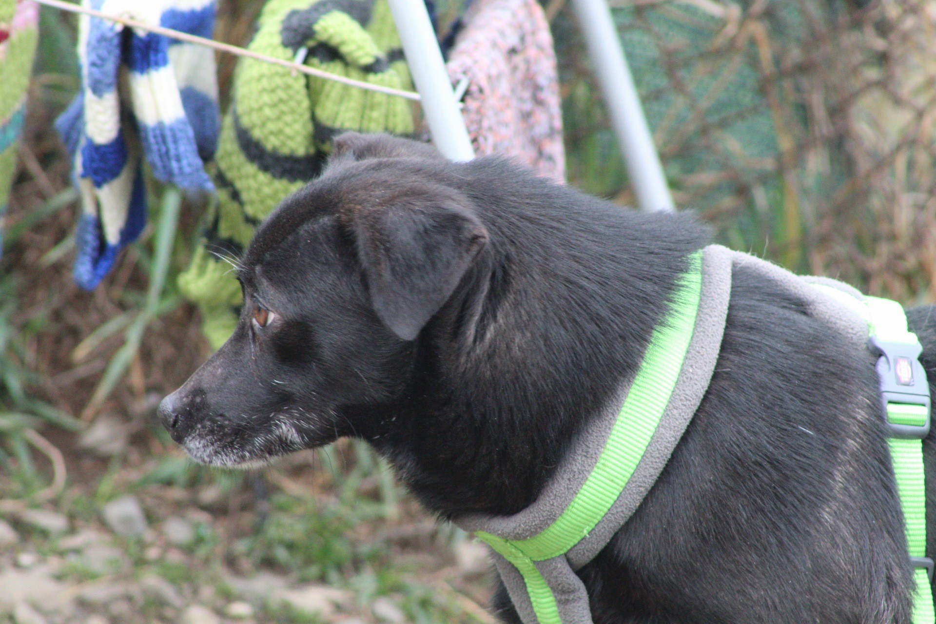 Beauty Casa lui Patrocle 4