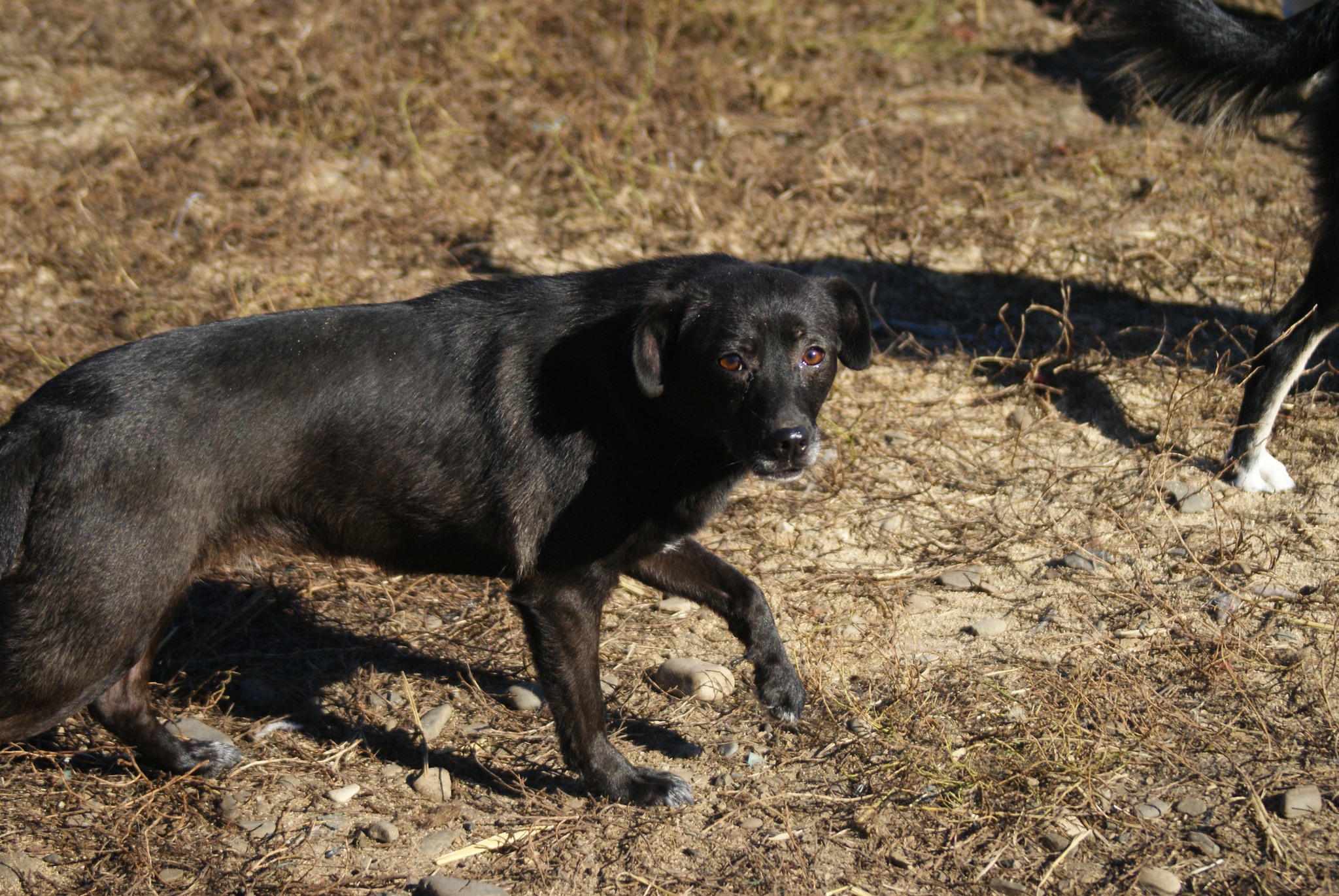 Beauty Casa lui Patrocle 5