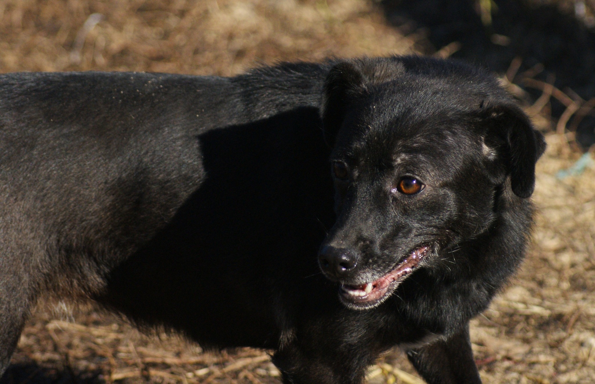 Beauty Casa lui Patrocle 6