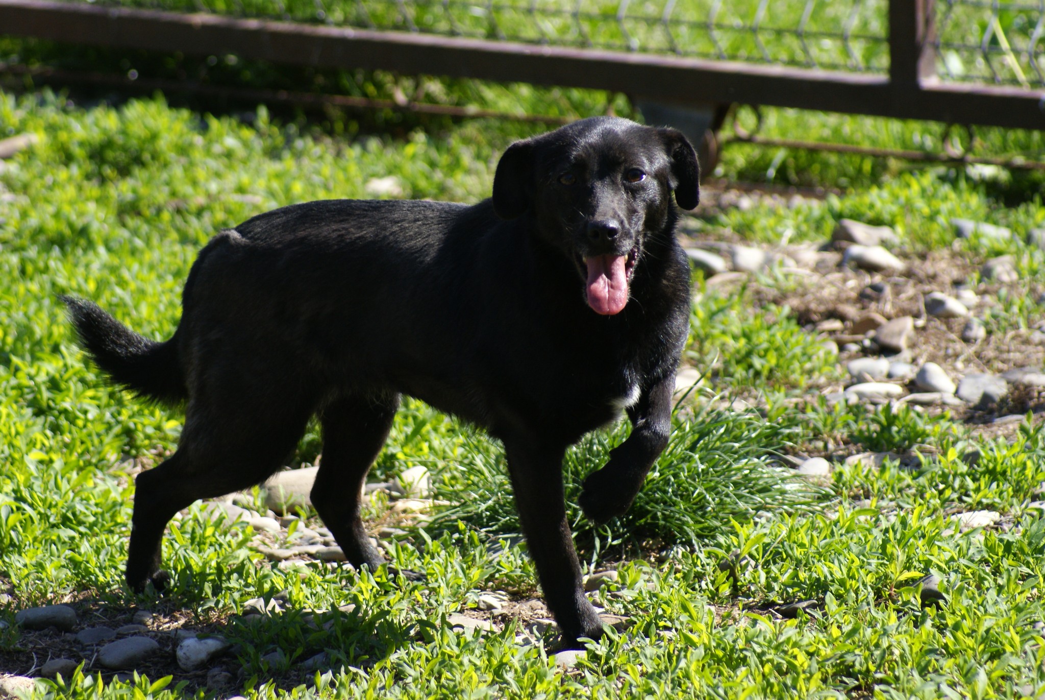 Beauty Casa lui Patrocle 7