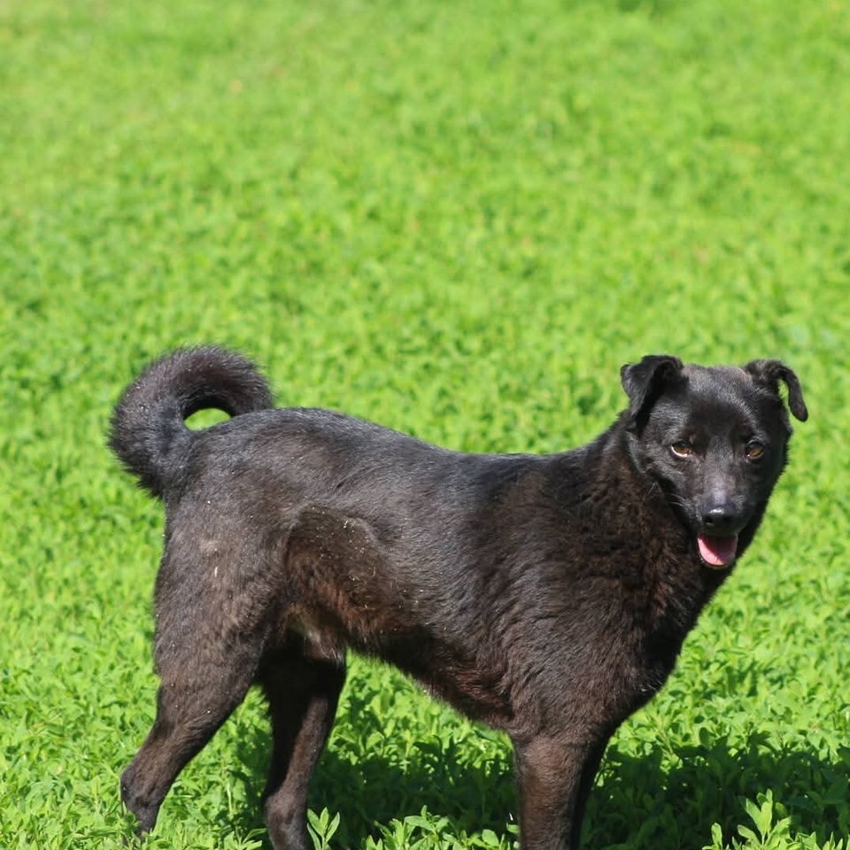 Bebe Casa lui Patrocle 2