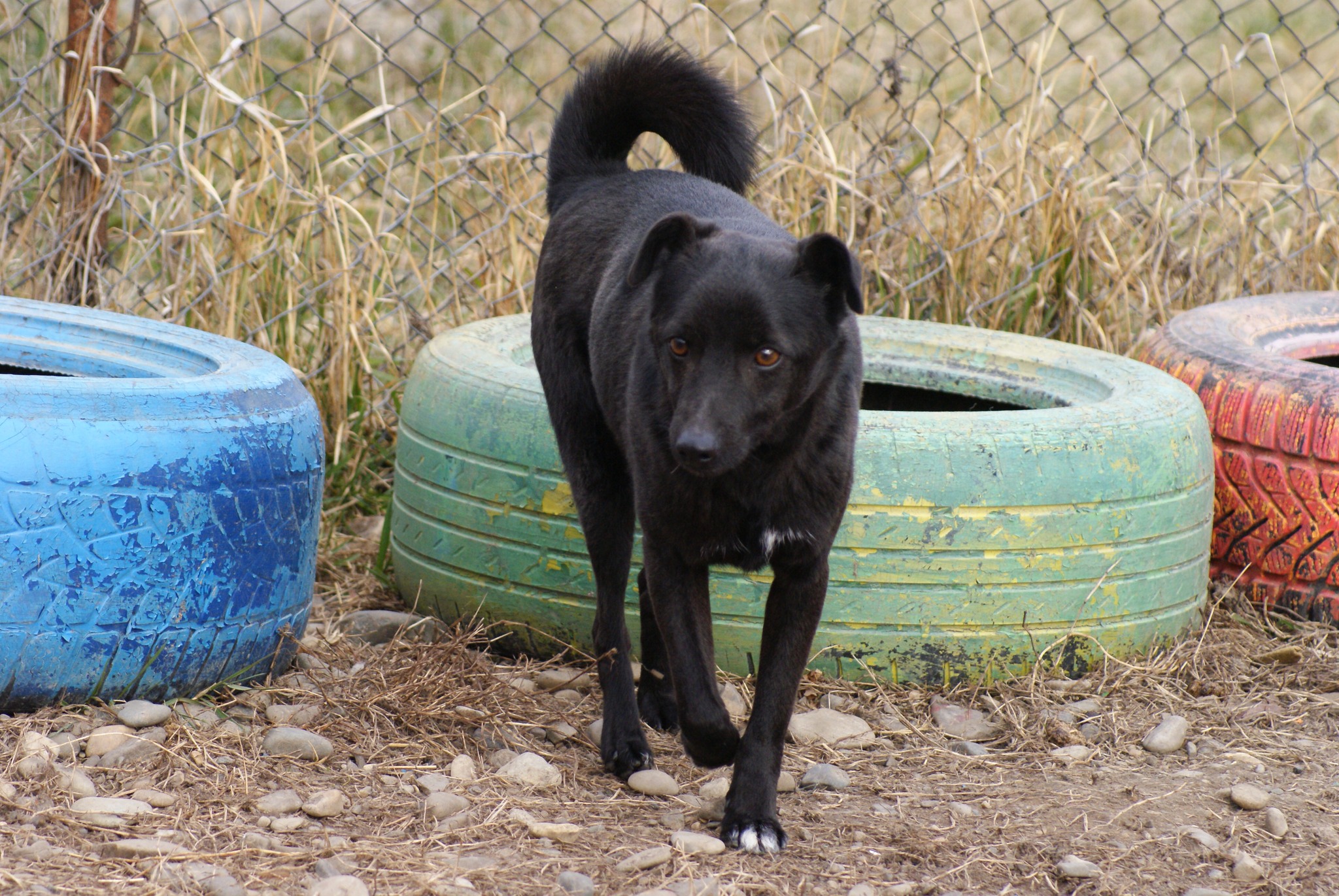 Bebe Casa lui Patrocle 6