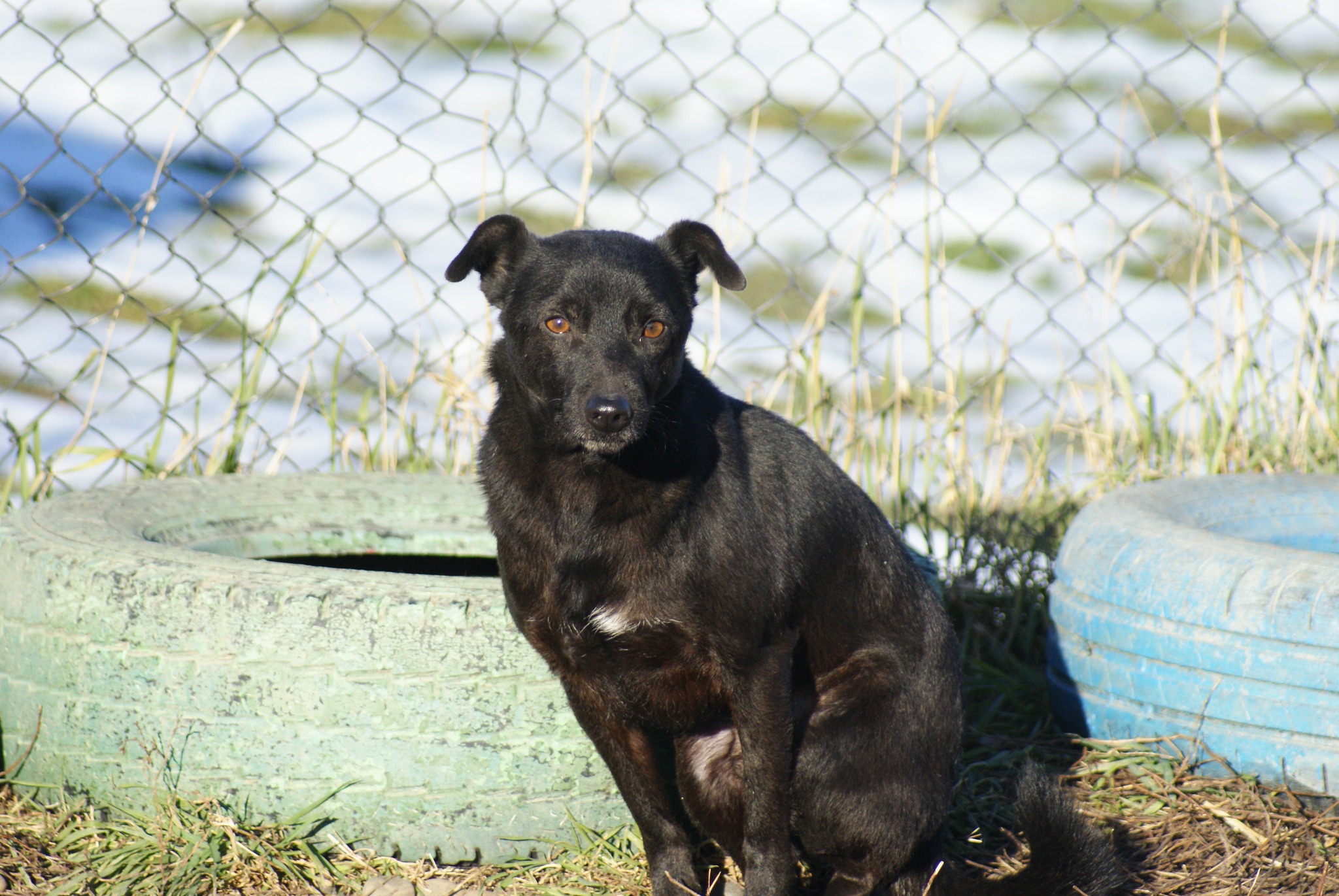 Bebe Casa lui Patrocle 7