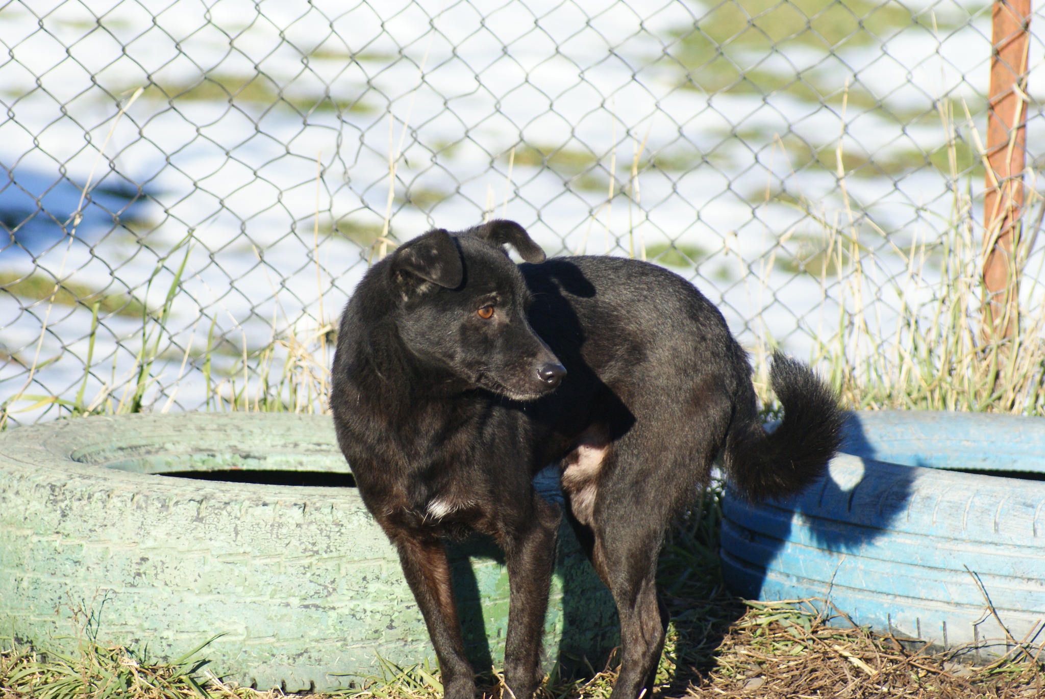 Bebe Casa lui Patrocle 8