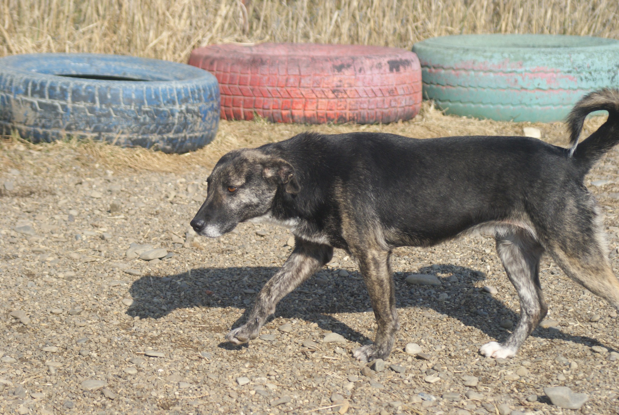 Bella Casa lui Patrocle 5