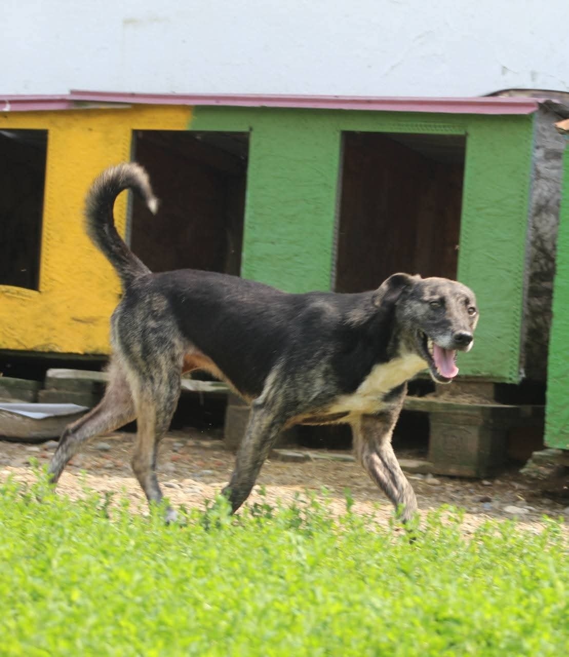 Bella Casa lui Patrocle 8