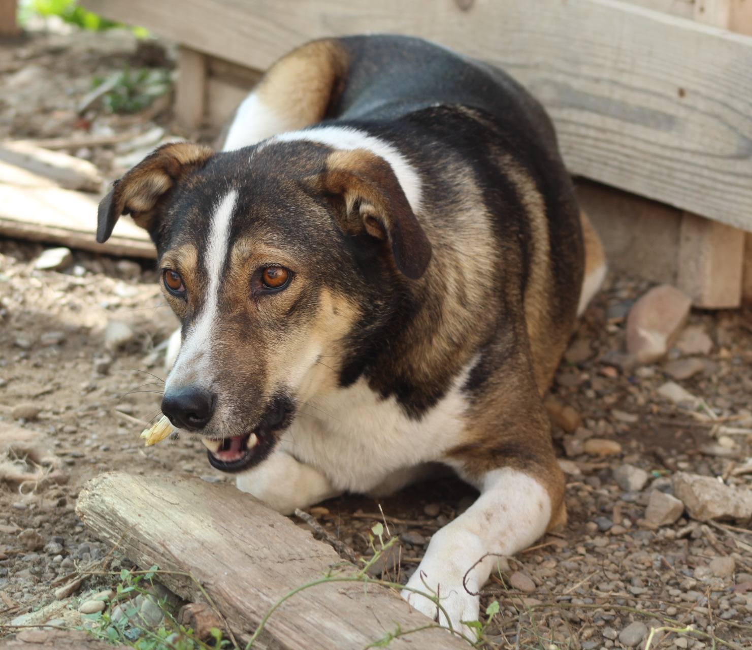 Billy Casa lui Patrocle 2