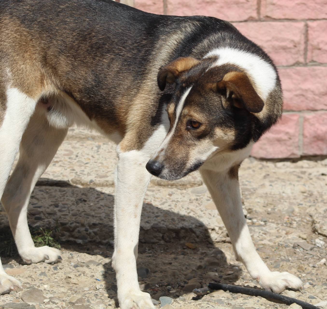 Billy Casa lui Patrocle 3