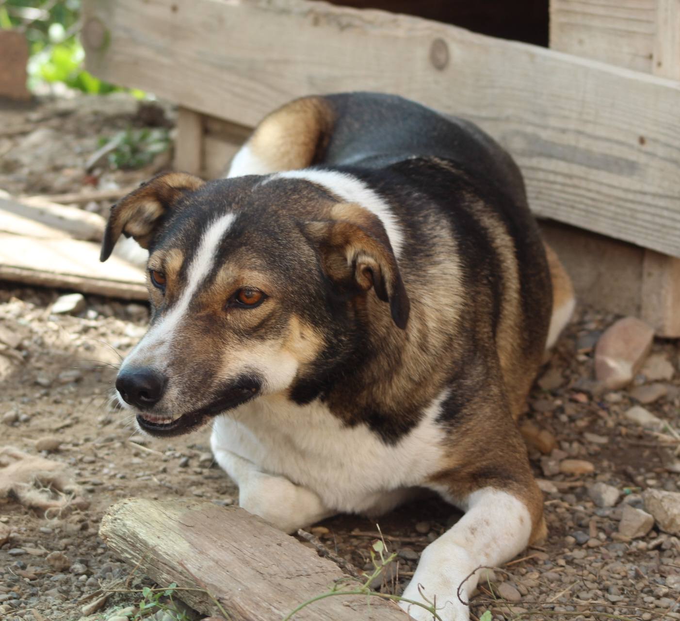 Billy Casa lui Patrocle 4