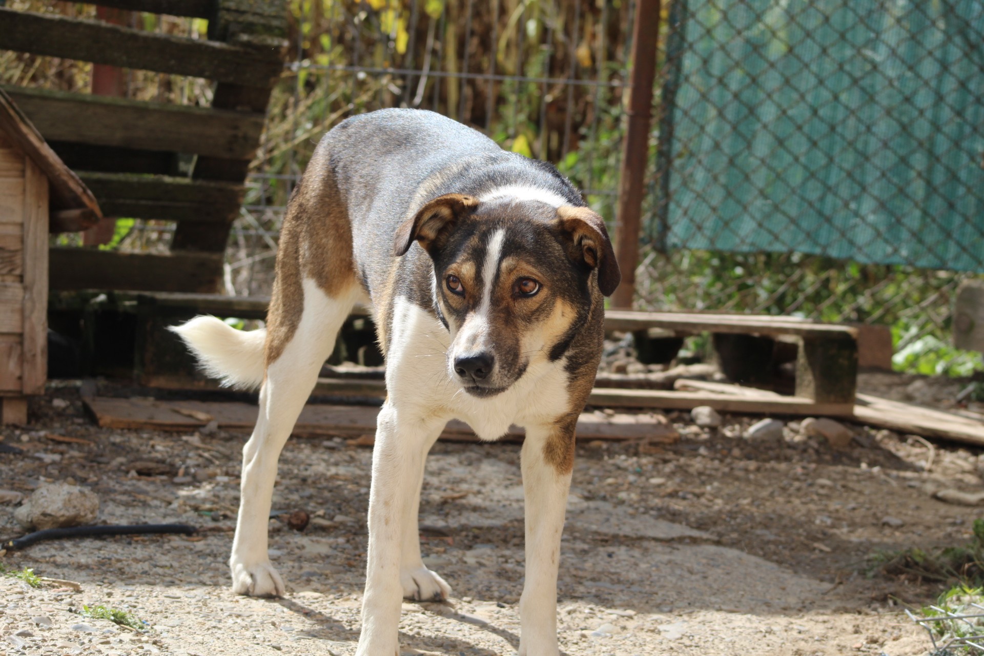 Billy Casa lui Patrocle 5