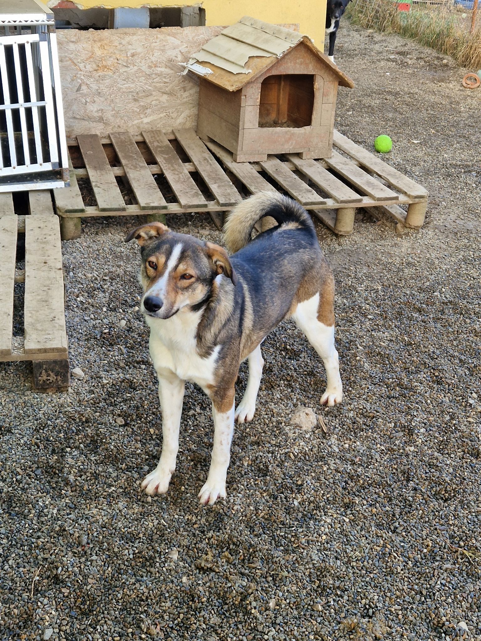 Billy Casa lui Patrocle 7