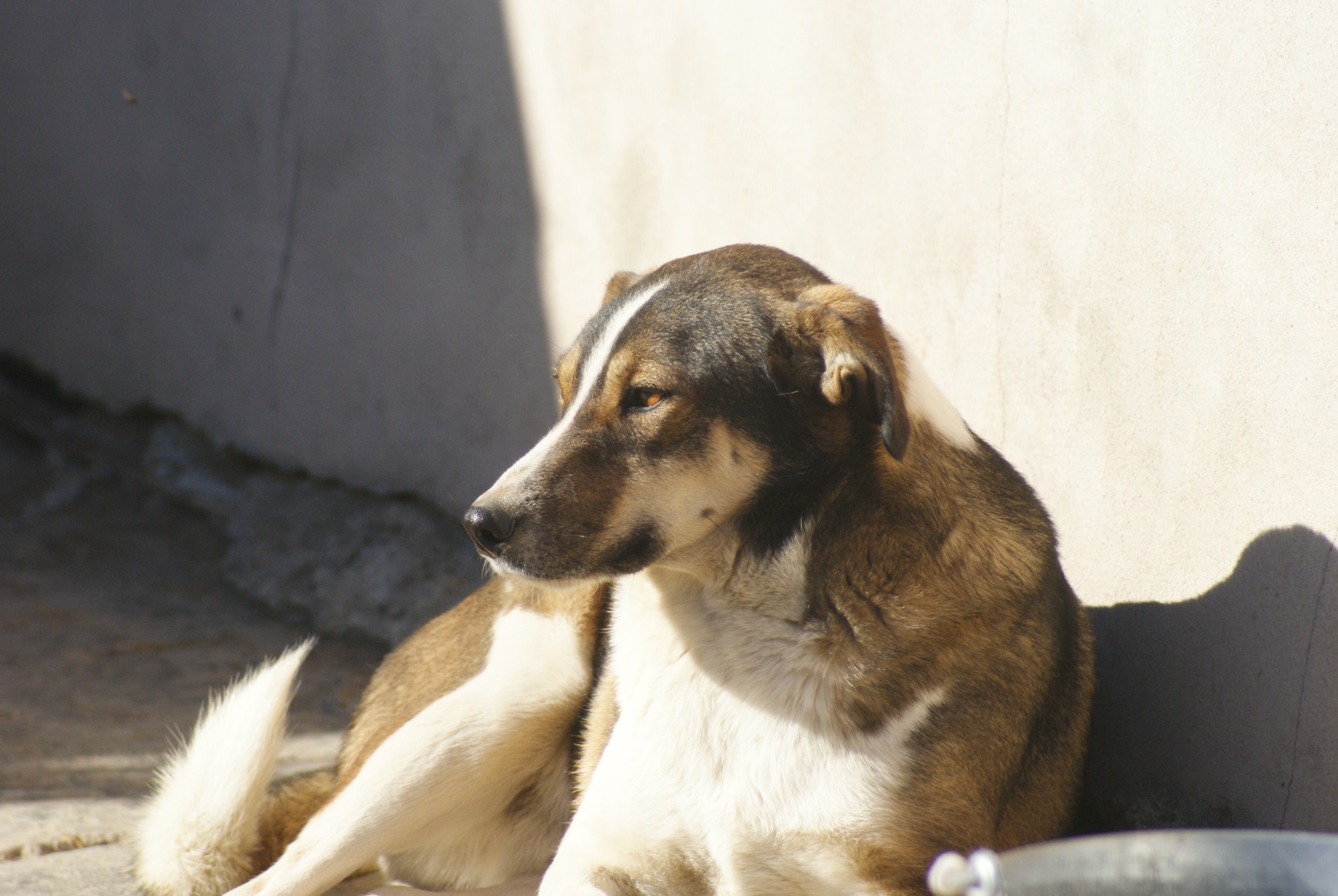 Billy Casa lui Patrocle 8