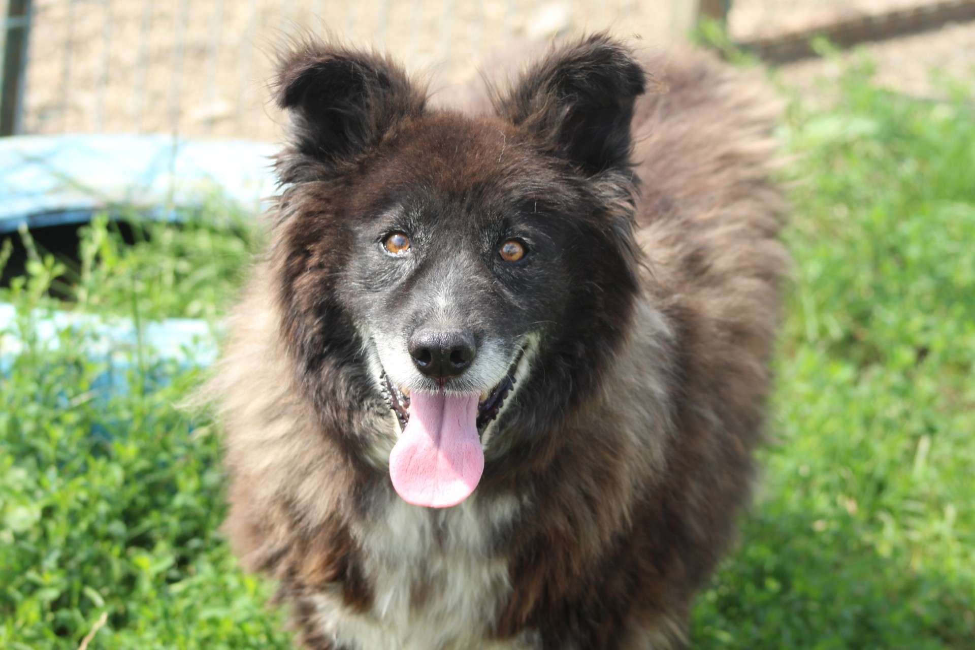 Black Senior Casa lui Patrocle 5