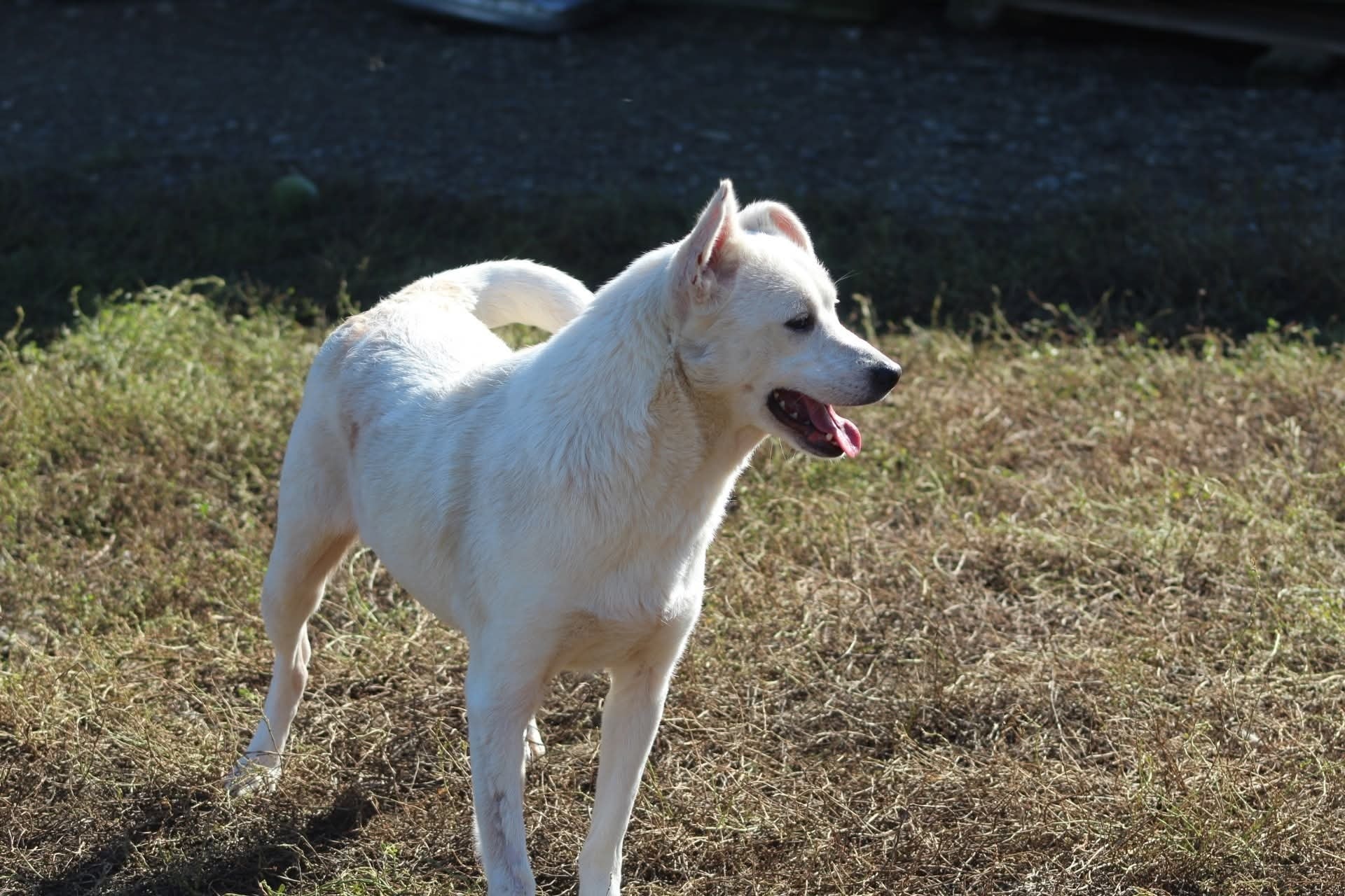 Blanca Casa lui Patrocle 4