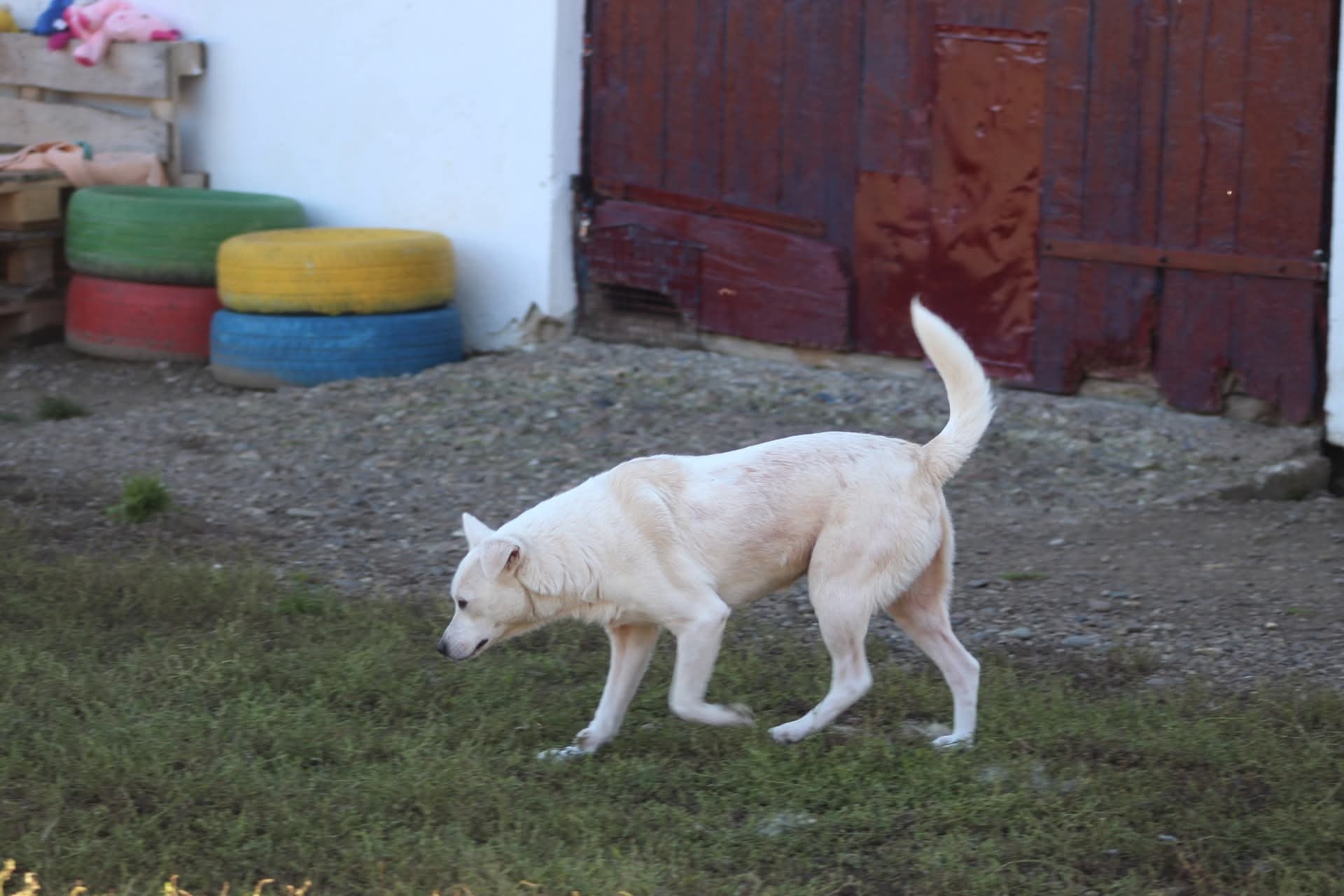 Blanca Casa lui Patrocle 5