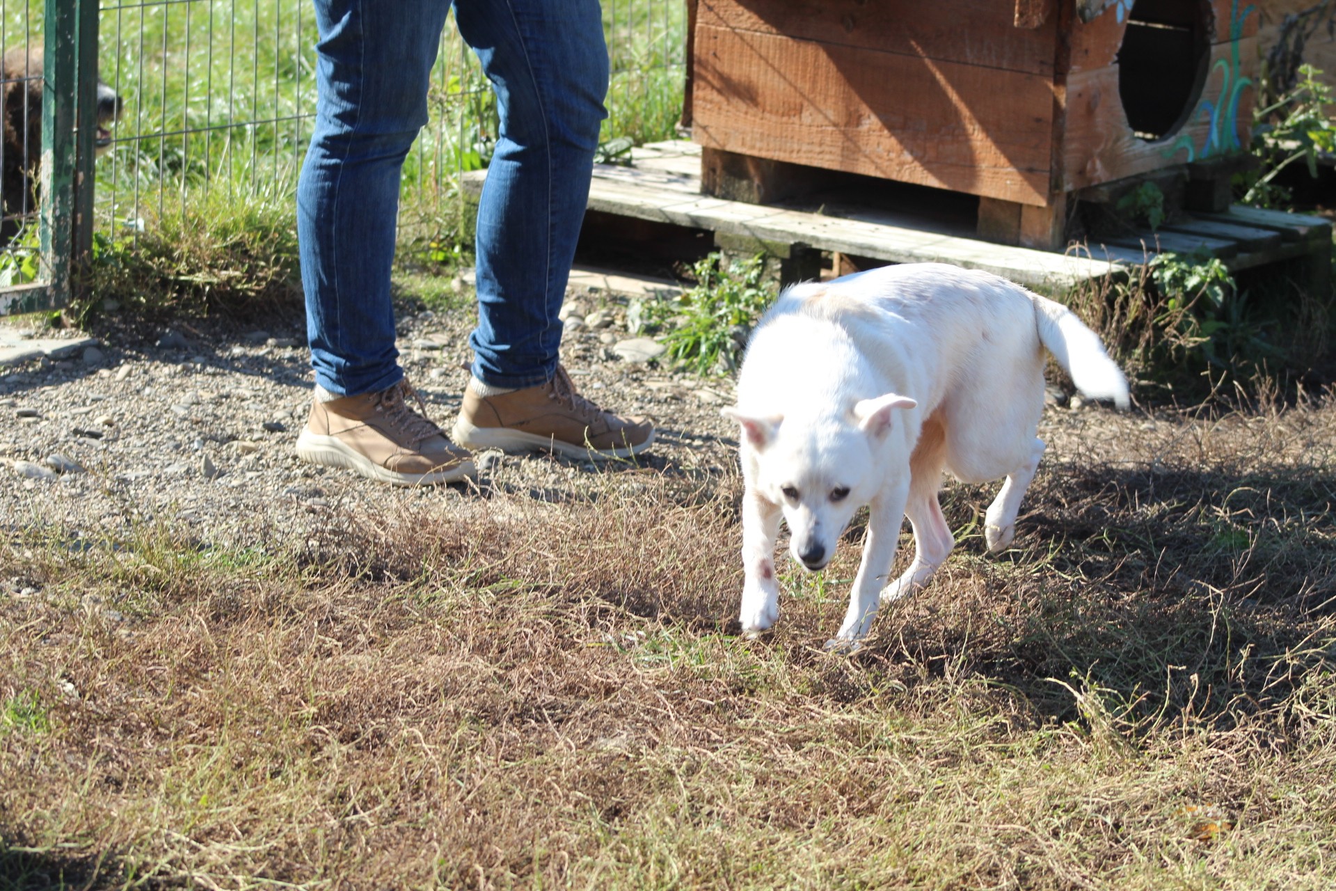 Blanca Casa lui Patrocle 6