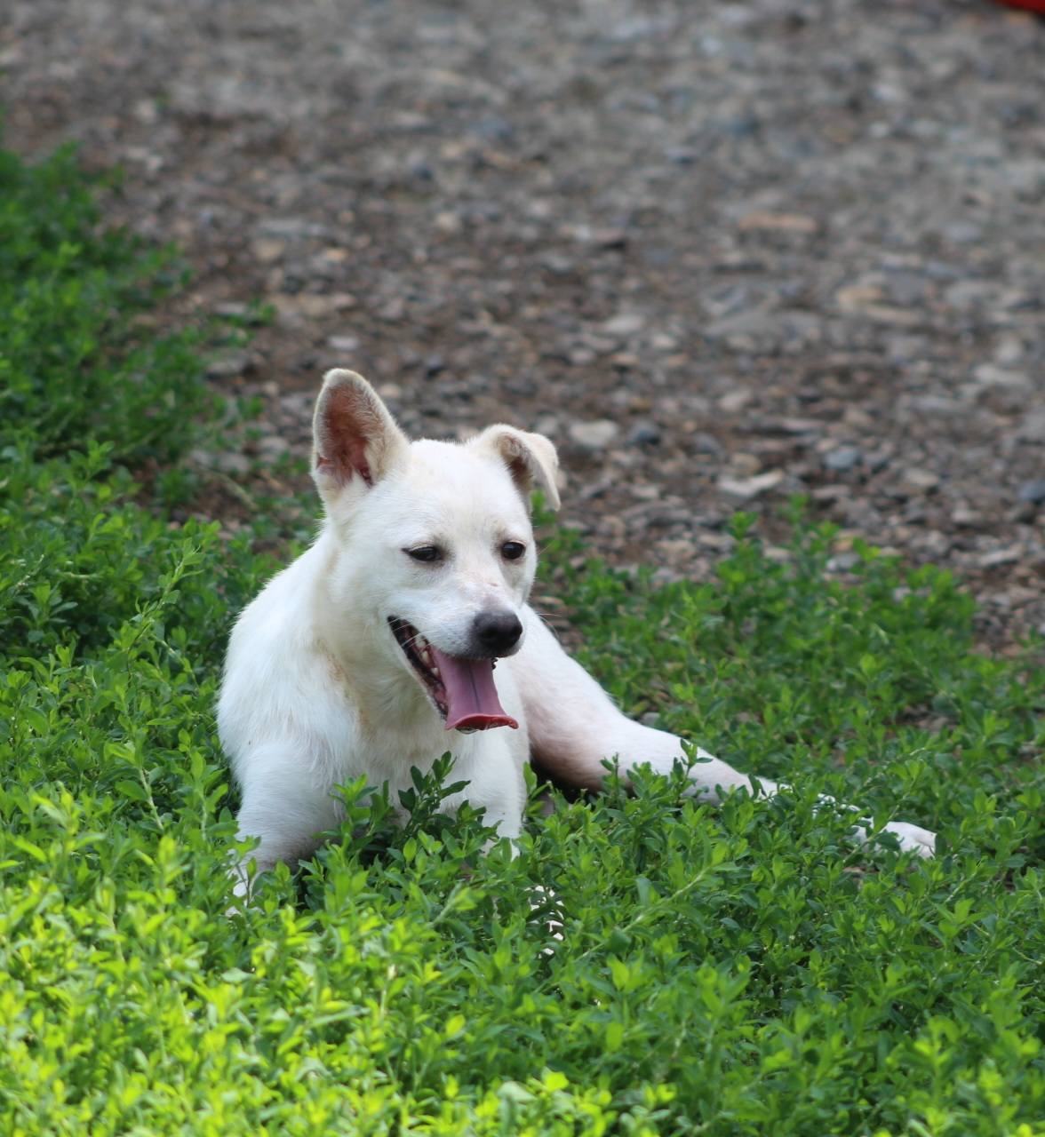 Blanca Casa lui Patrocle 7