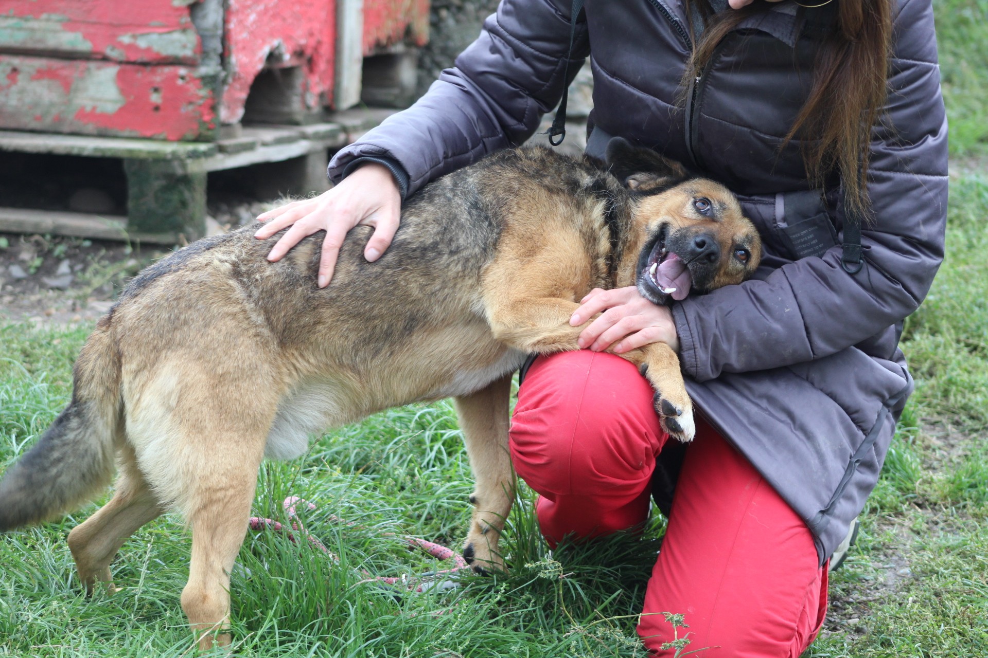 Boris Casa lui Patrocle 8