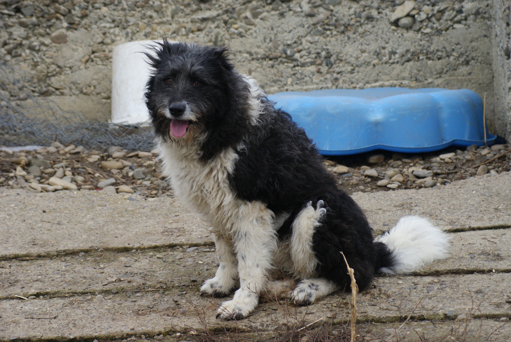 Brandusa Casa lui Patrocle 2