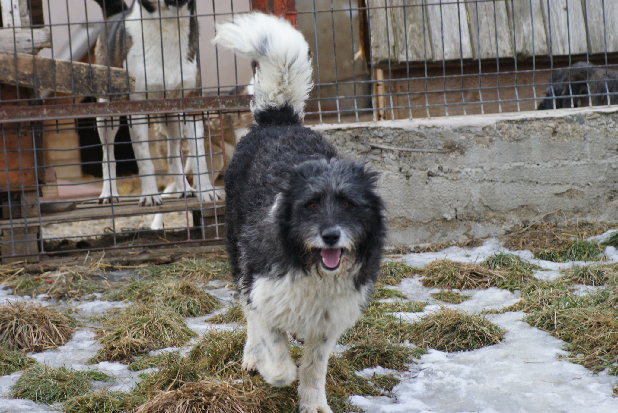 Brandusa Casa lui Patrocle 3