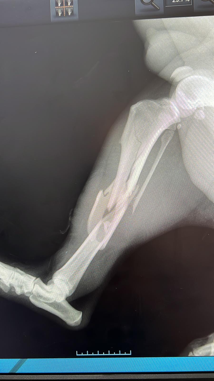 Brandusa Casa lui Patrocle 8