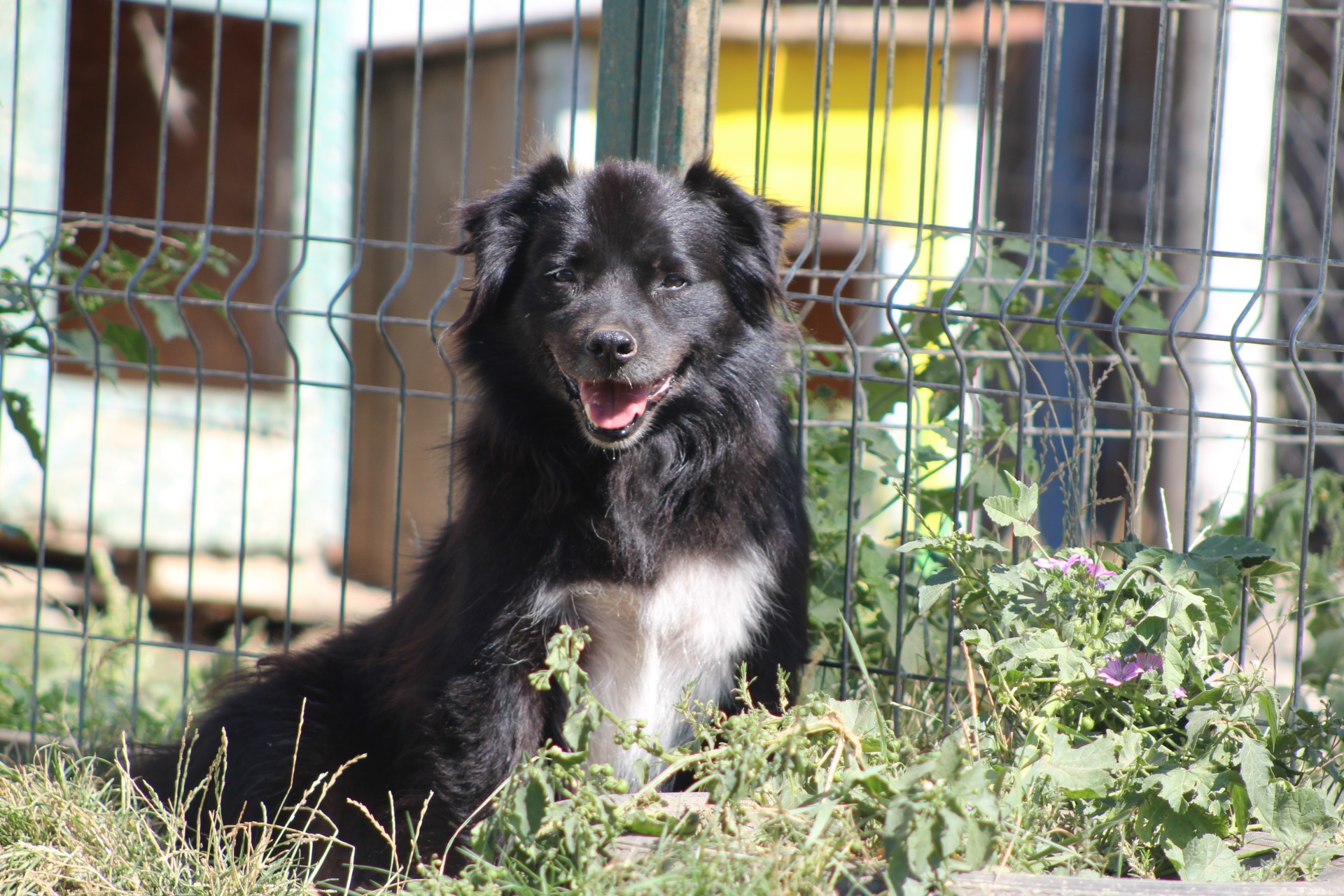 Carlos Casa lui Patrocle 2