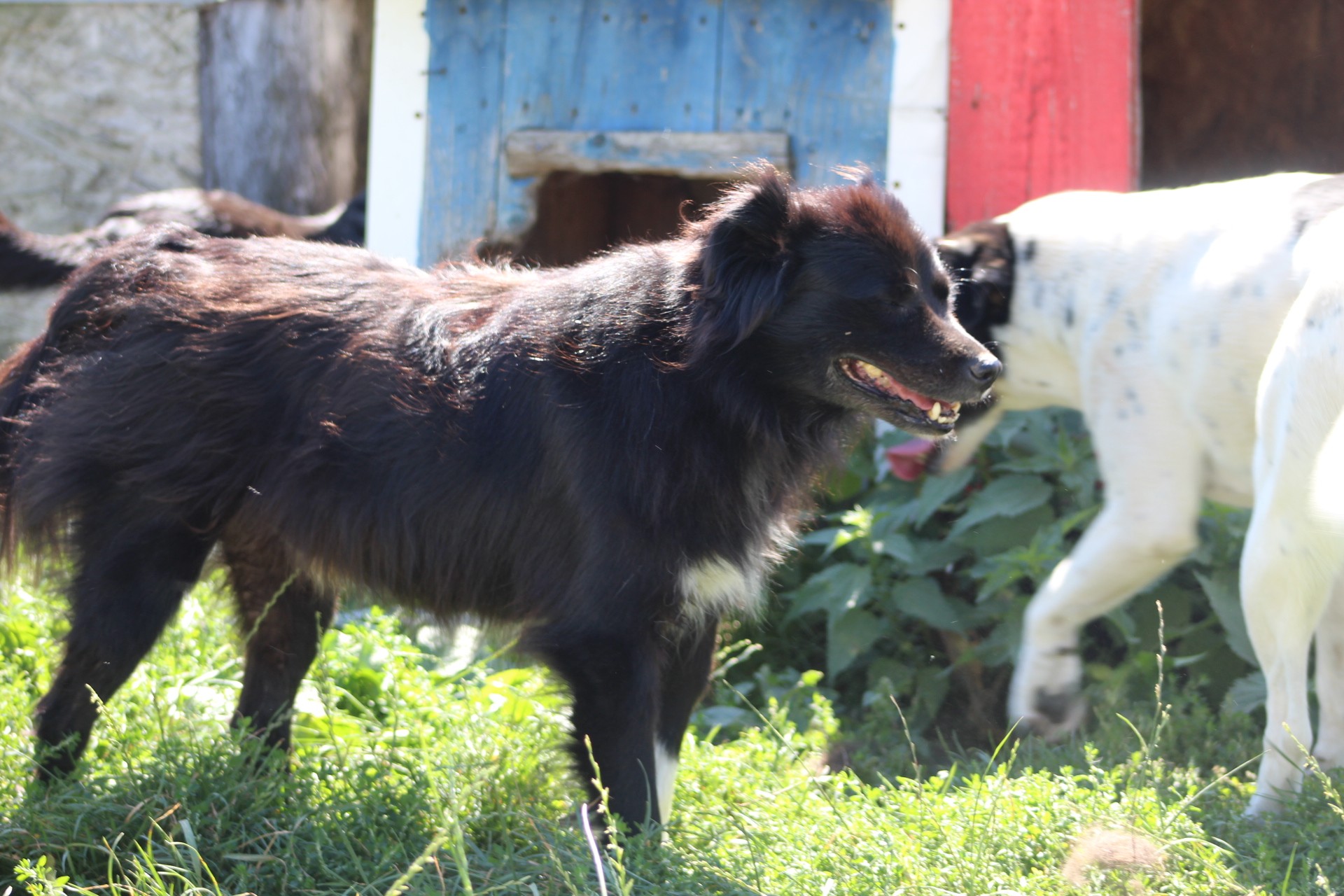 Carlos Casa lui Patrocle 4