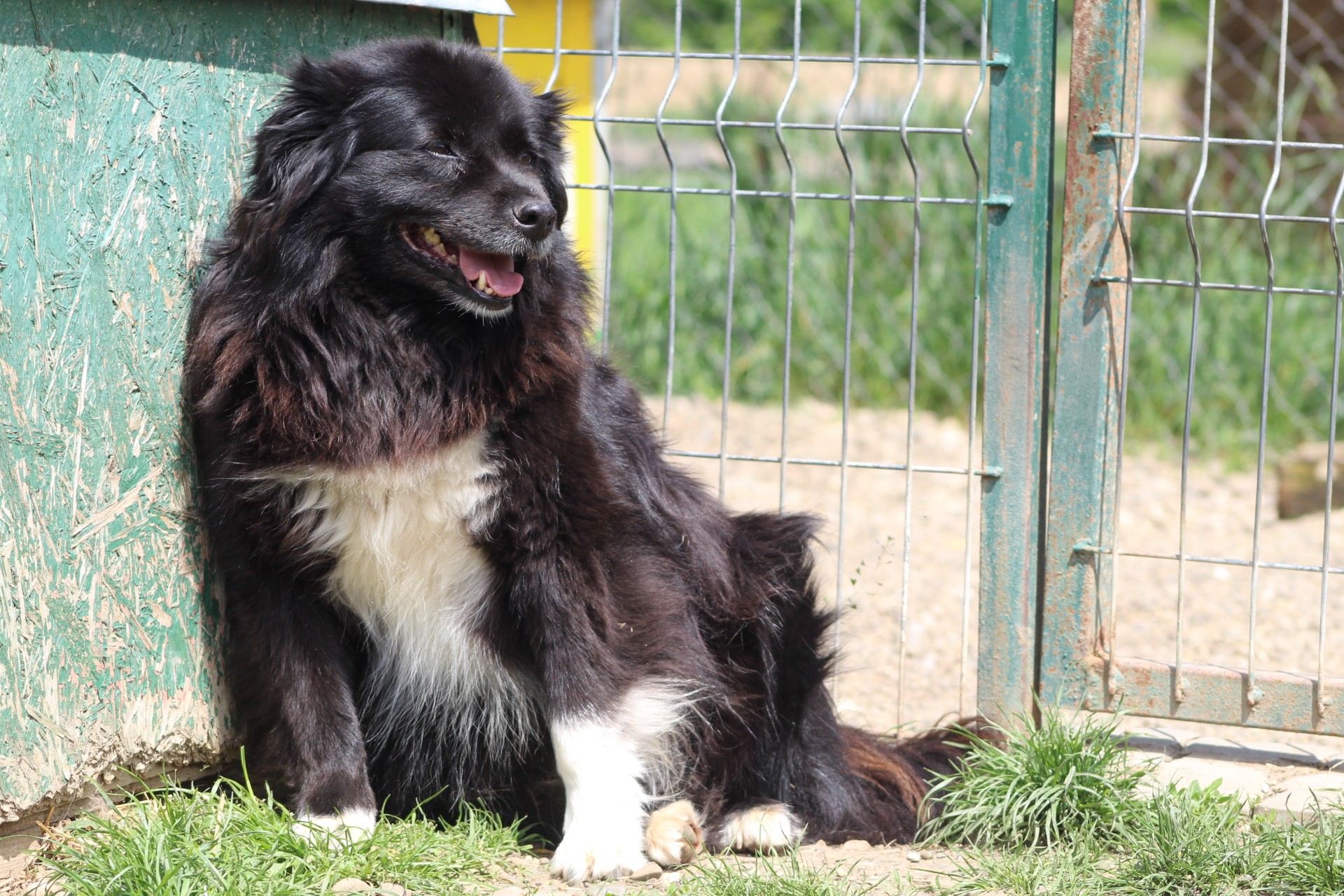 Carlos Casa lui Patrocle 5