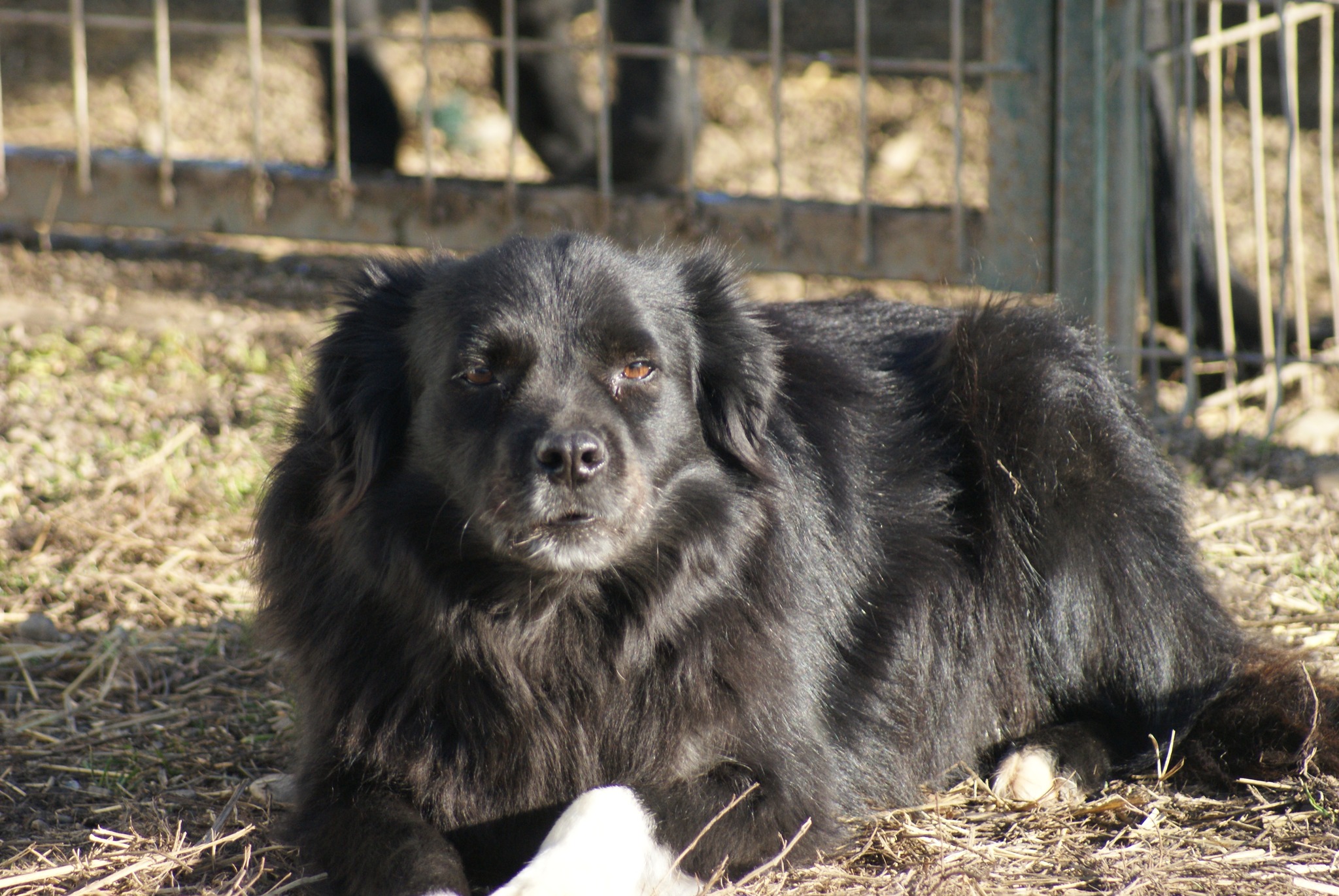 Carlos Casa lui Patrocle 6