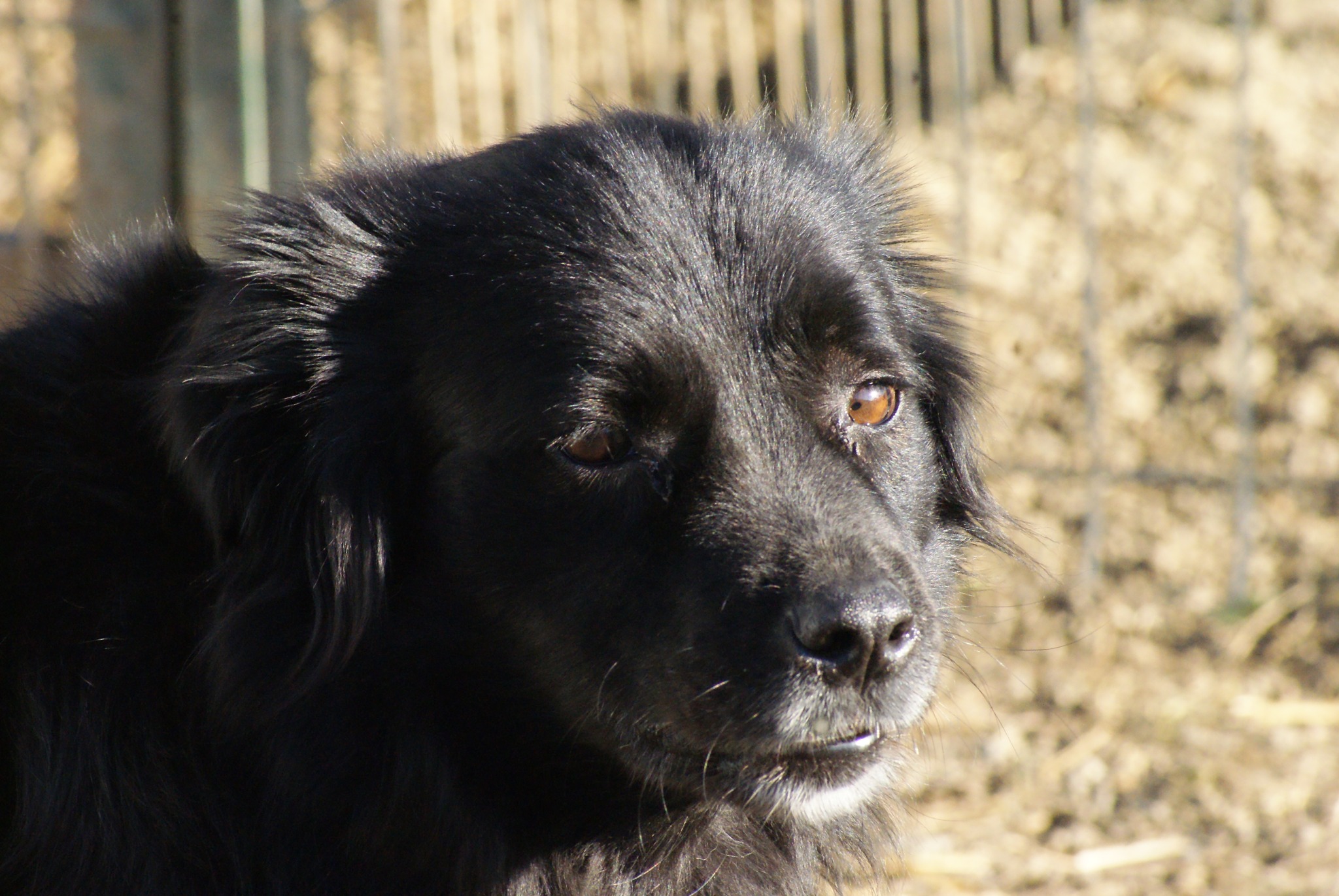 Carlos Casa lui Patrocle 7