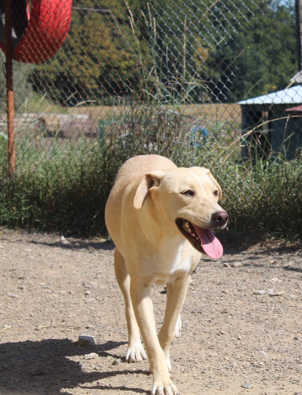 Cosette Casa lui Patrocle 2