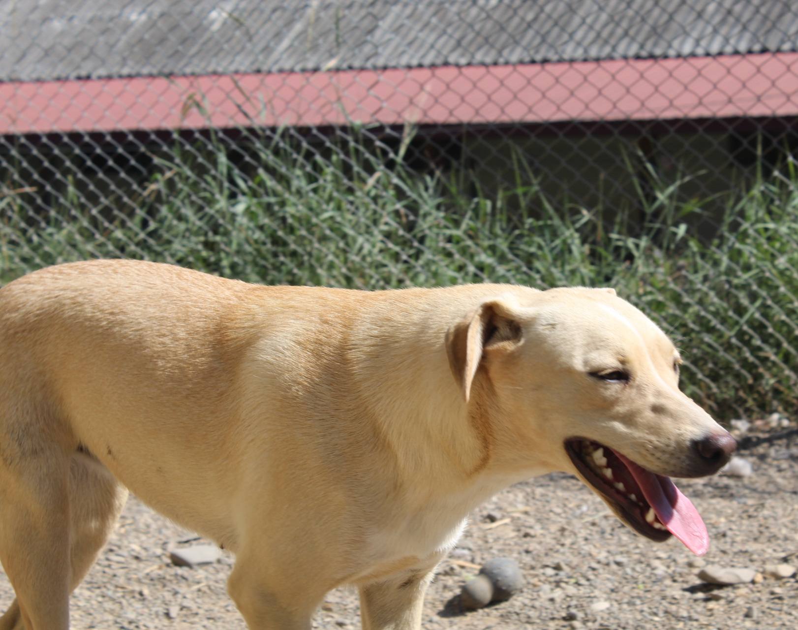 Cosette Casa lui Patrocle 3