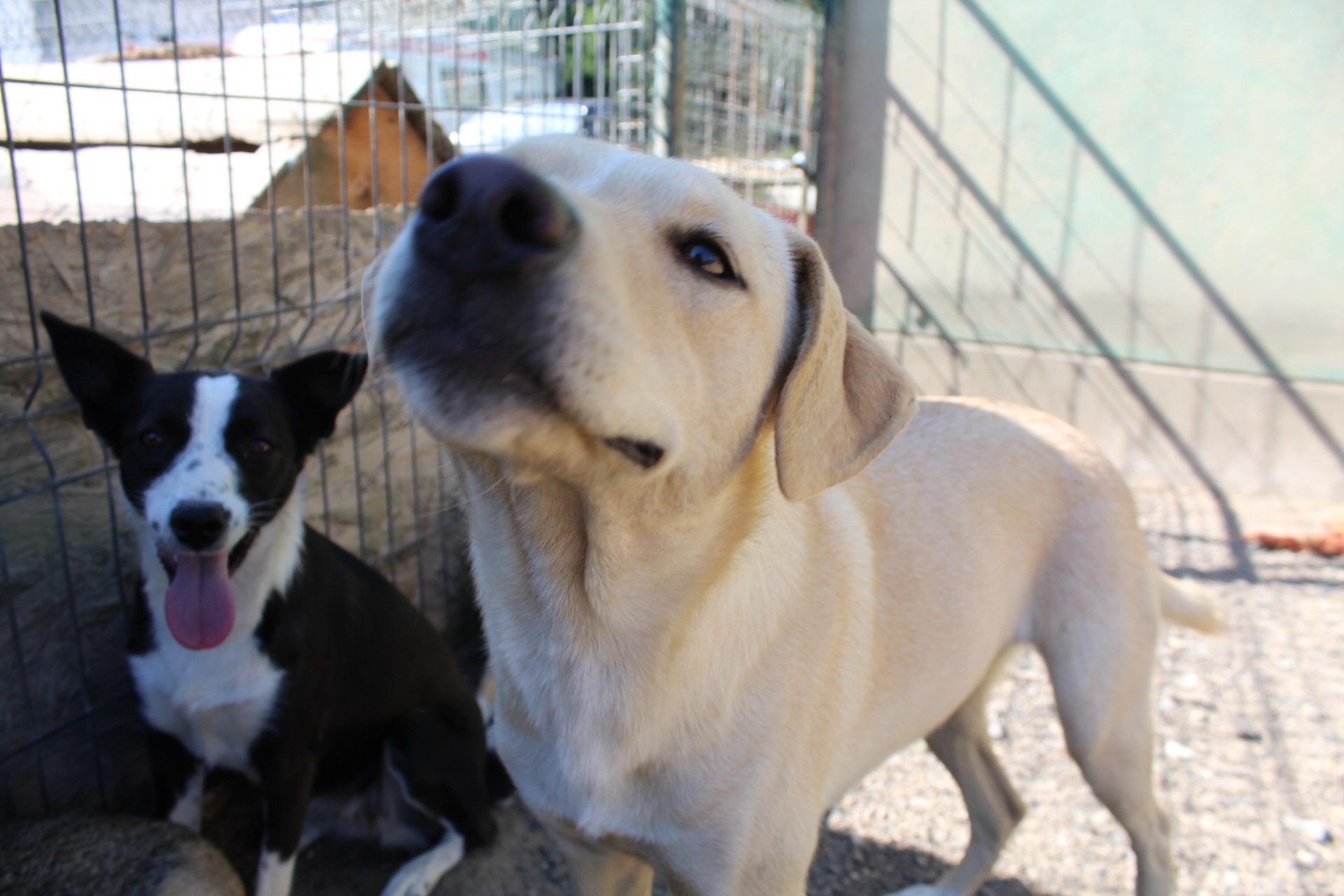 Cosette Casa lui Patrocle 4