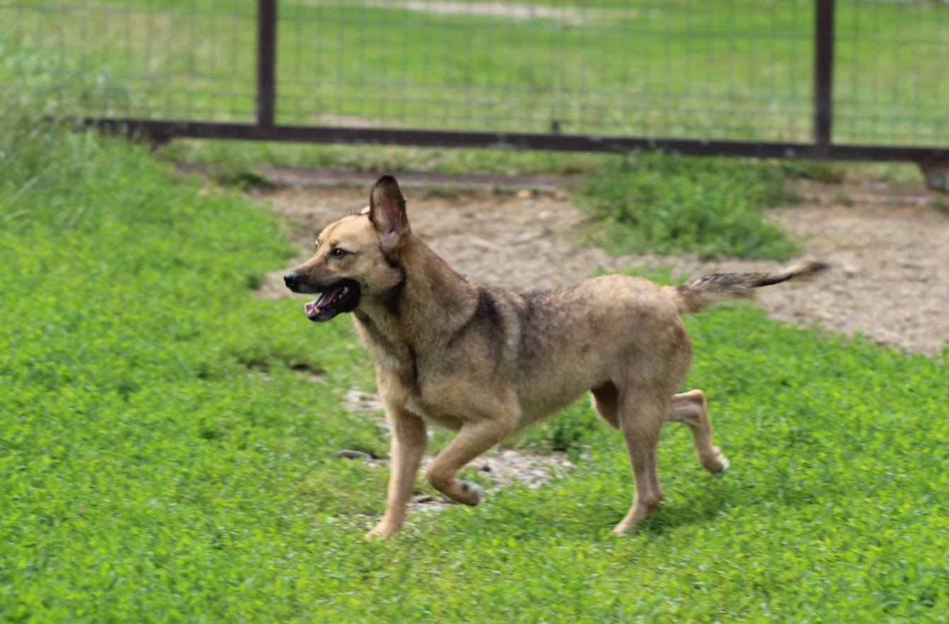 Crina Casa lui Patrocle 2