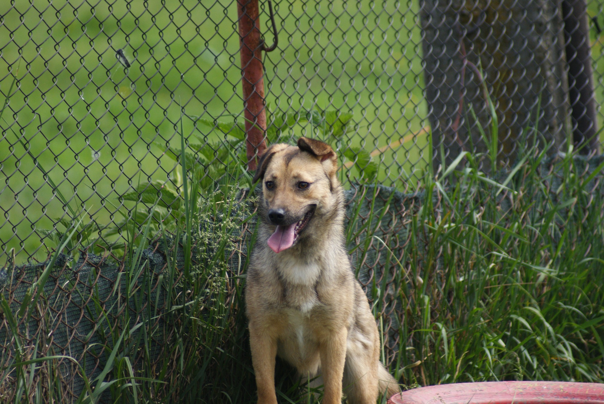 Crina Casa lui Patrocle 8