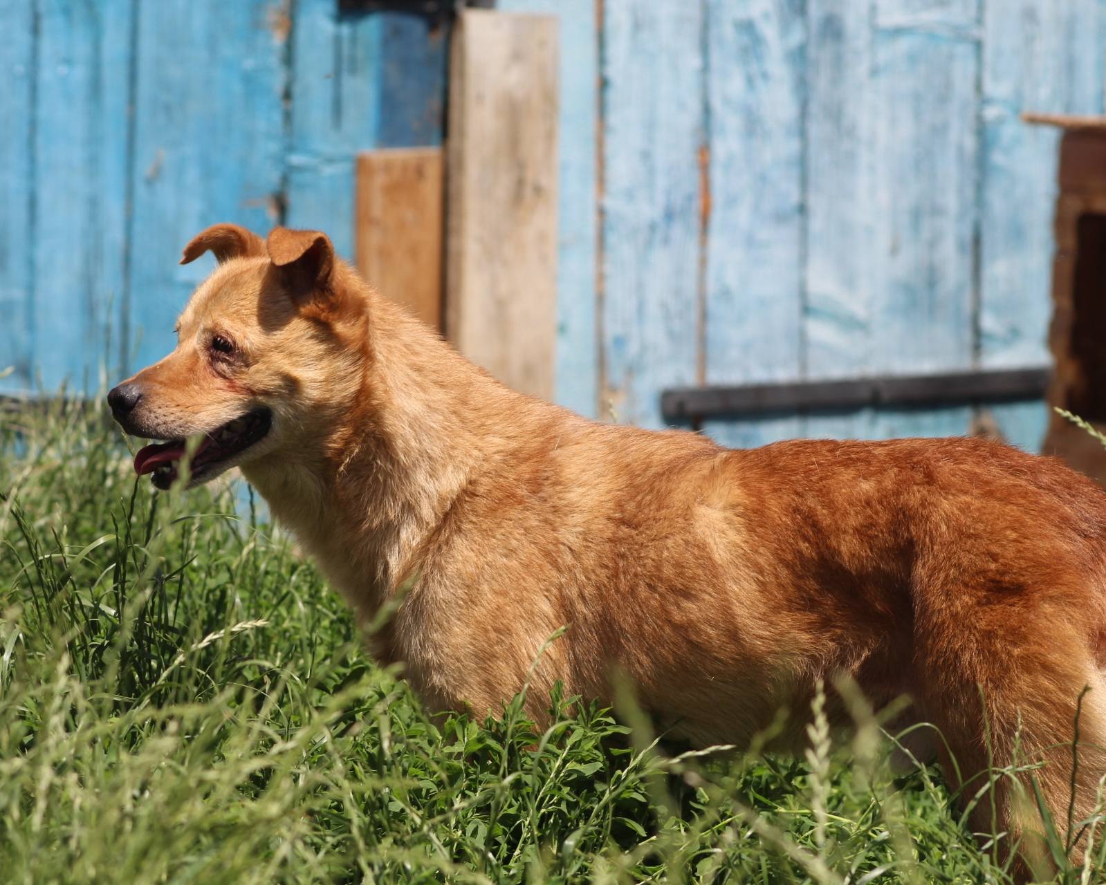 Diego Casa lui Patrocle 6